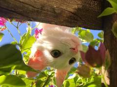 엔시티 홍일점 김여주 SSUL