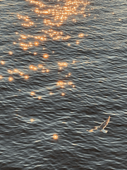 사직서를 무르기 위한 13 가지 회유책