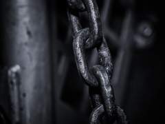 라이 지 / 30대 초 추정 / 조폭