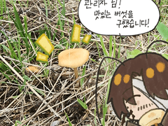 림버스 컴퍼니 모음zip.5