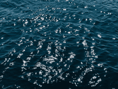 무언의 생 : 살아가는 당신께 5-1