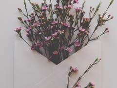 [태주원중] Words