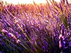 ㅎㅇ님 감상문 커미션