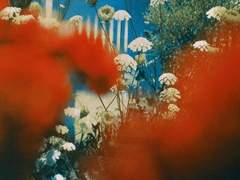 나카이즈미 모모에