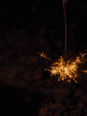 피쫌묻은아기강아지납치감금