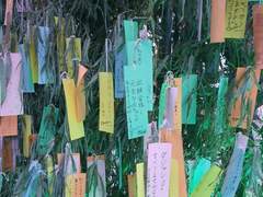 [DAY 87, 88, 89] 칠월칠석