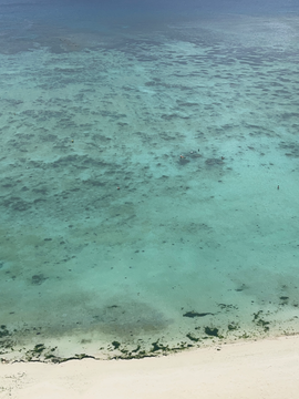 부부(婦婦)가 되다. 