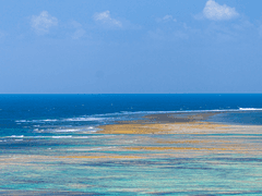 23년 7월 12일 일상