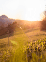 죽음을 원하는 마녀