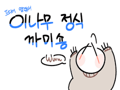 이나무 정식깜숑