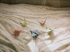 그 뱀의 낭만적 연애사 9