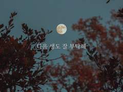 [히메타츠] 다음 생도 잘 부탁해