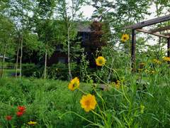 속사재(束沙齋)이야기 14