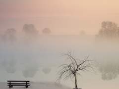 처음 끼운 보석
