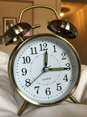 단테른 단편 모음