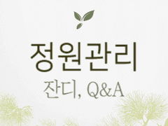 정원 관리