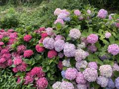 [새나] 0712 | 소소하게 행복한 순간들