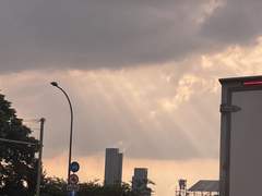 매그체스- 가슴에 품고