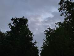 [태섭대만] 천둥소리 보다 큰