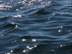 정답은 超新星의 폭발