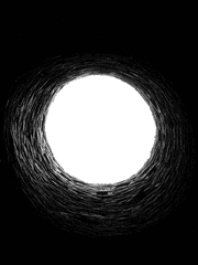 감히 말해보건대,