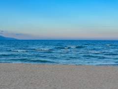 [태섭대만] 롱아일랜드 드림