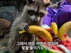 해시태그