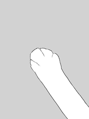 사니와 : 냥사니와