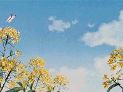 서단형 25 4학년 XY 예체대 서양화과