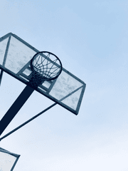 커미션 신청 자료