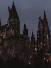 뜰팁 해리포터 AU