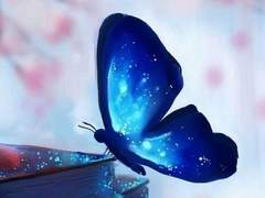 달빛 아래 빛나는 하얀 나비🦋