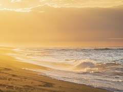 내일의 해가 뜨면, 널 찾아갈게.