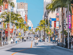 桐生一馬 & 賀須井 津代子