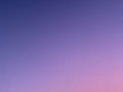 여름이라는 계절은 말이야.