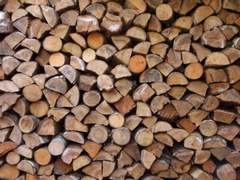 신이 사람을 만들듯