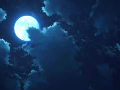 [ 연경경원 ; 연경원 / 중편 ] 한 걸음 물러나는 법 :: 中 - 1편