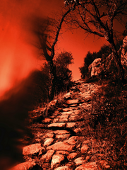 어느 날 우리 집 안방에 저승으로 가는 문이 열렸다