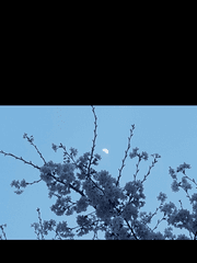 디귿 그리고 웨일