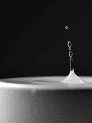 일상적인 이야기 등등