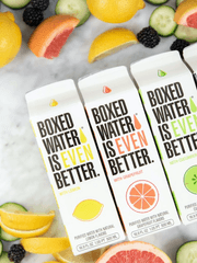 자캐들 외관만 모아놓음