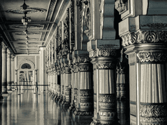 1. 가정교사 소피아