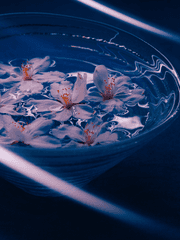 은혼 드림이 몰아치는 그 날을