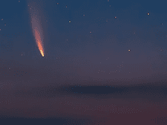 내일이 없는 내일(Fsn/槍弓槍)