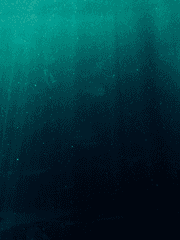 [청려건우]희생양