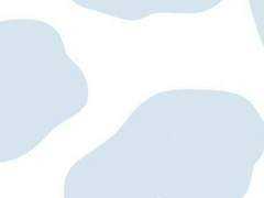 분양캐 정리/백업