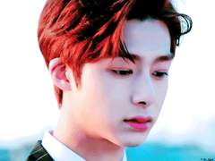 사랑을 노력한다는게 말이 되니 [채형원]