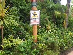 오사카 여행 사진