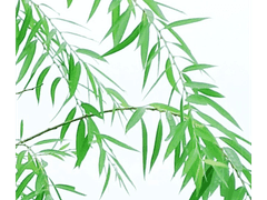 (1) 반드시 행복해 질 거야!