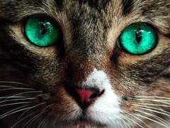 우주먼지 작곡 커미션 문의